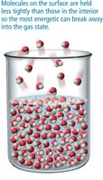Molecules evaporating from the surface of a liquid
