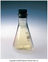 Nonmetal sample
