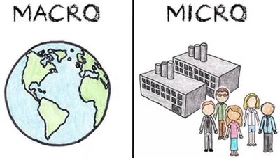 Comparison of macroeconomics (world) and microeconomics (firms and individuals)