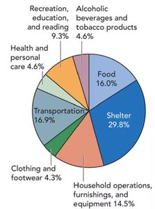 Pie chart of CPI basket composition