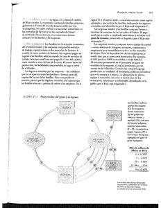 Diagrama del flujo circular del gasto y del ingreso