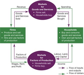 Circular-flow diagram showing the flow of goods, services, and money between households and firms