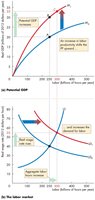 Labor market and potential GDP with increased labor productivity