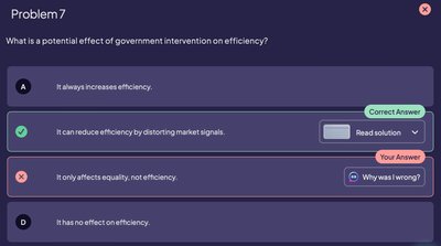 Government intervention and efficiency screenshot