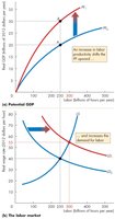 Increase in labor productivity and its effect on potential GDP and wage rate