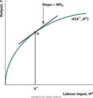 Production function and marginal product of labor