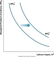 Increase in TFP shifts marginal product of labor schedule rightward