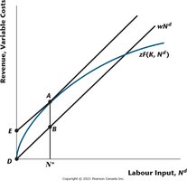 Profit maximization: marginal product equals real wage