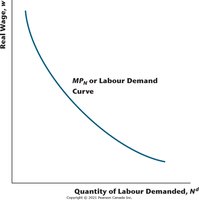 Labour demand curve: marginal product of labor