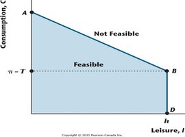 Consumer's budget constraint