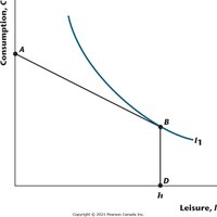 Consumer chooses not to work: optimal bundle at kink of budget constraint