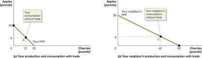 Production and consumption without trade