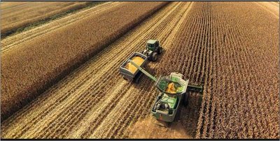 Harvesting crops in a field, representing agricultural production