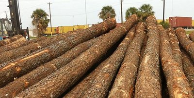 Logs as intermediate goods