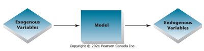 Flowchart of exogenous variables, model, and endogenous variables
