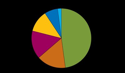 Pie chart of federal government expenditures