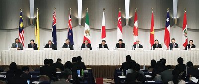 International trade negotiation panel