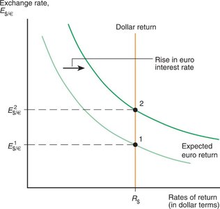 Effect of a rise in the euro interest rate