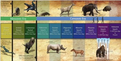 Mesozoic and Cenozoic Eras