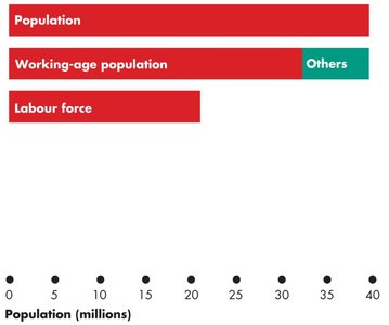 Labour force bar chart