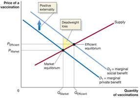 Positive externality and deadweight loss in vaccination market
