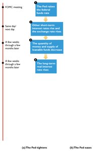 Monetary policy transmission timeline