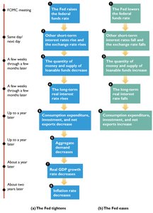 Monetary policy transmission timeline