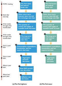 Monetary policy transmission timeline