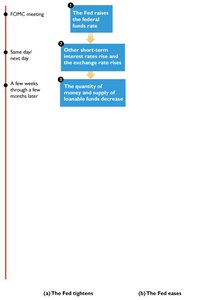 Monetary policy transmission timeline