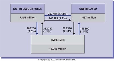 Labour market flows diagram showing transitions between employed, unemployed, and not in labour force