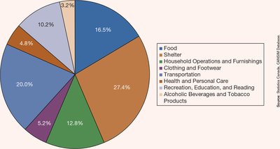 CPI basket composition pie chart