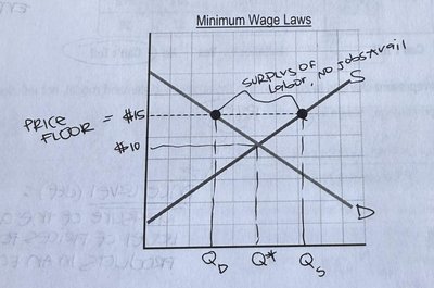 Minimum wage price floor graph showing surplus of labor