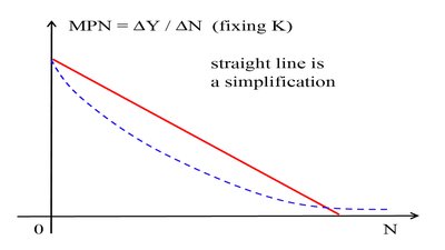 The MPN curve: Marginal product of labor declines as labor increases