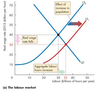 Labour market: summary of population growth effects