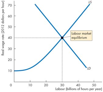 Labour market equilibrium