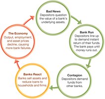 Feedback loop during a bank panic