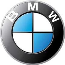 BMW logo (foreign firm)