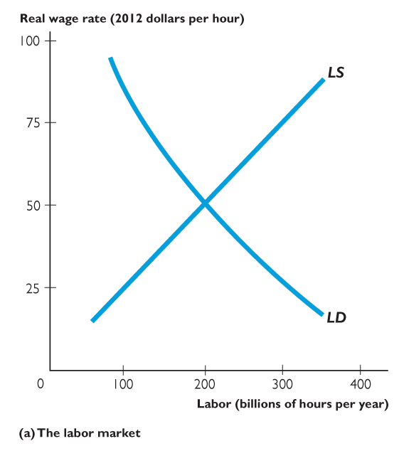 Labor market equilibrium