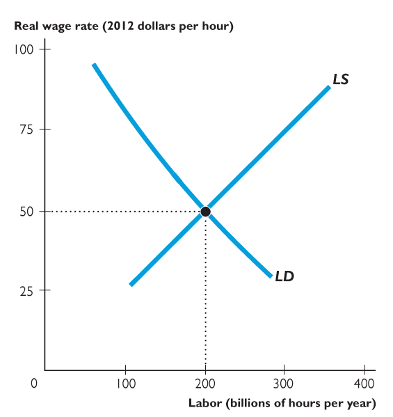 Labor market with efficiency wage