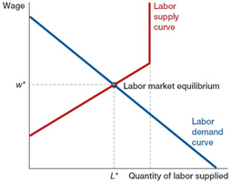 Labor market equilibrium: intersection of supply and demand
