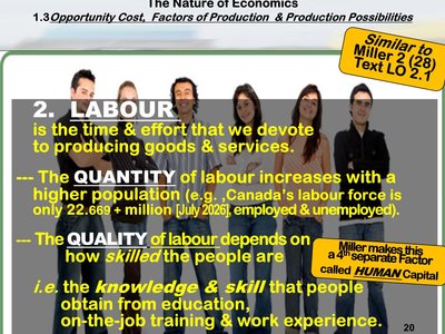 Labour and human capital
