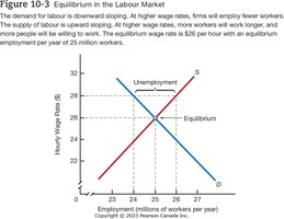 Equilibrium in the Labour Market