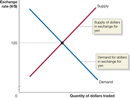 Equilibrium in the Foreign Exchange Market: supply and demand for dollars in exchange for yen