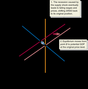 Policy response to supply shock