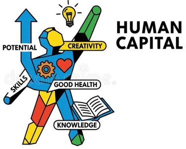 Humankapital: Skills, Potential, Creativity, Good Health, Knowledge
