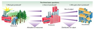 Allocation of resources and basic economic questions