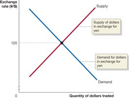 Equilibrium in the Foreign Exchange Market