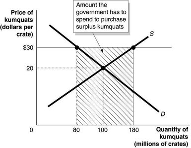 Supply and demand graph showing government spending to purchase surplus kumquats