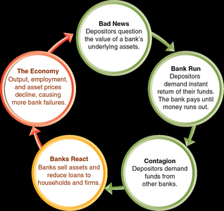 Feedback loop during a bank panic