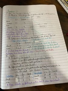 PPF and specialization diagram